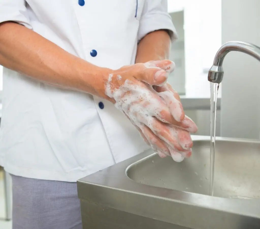 Cursos Profissionalizantes Presencial ou On-line na Faculdade Eleven - Curso de Boas Práticas na Manipulação de Alimentos