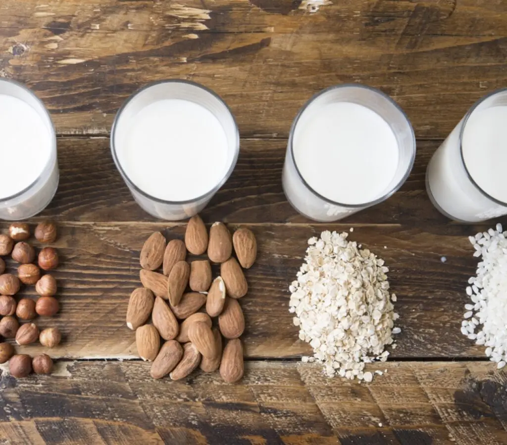Cursos Profissionalizantes Presencial ou On-line na Faculdade Eleven - Curso de Laticínios Veganos