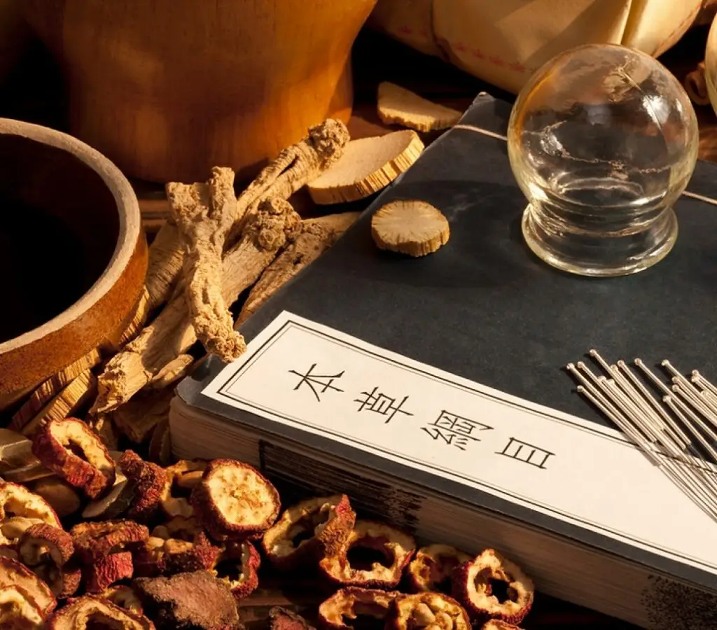 Cursos Profissionalizantes Presencial ou On-line na Faculdade Eleven - Curso de fundamentos da Medicina Chinesa